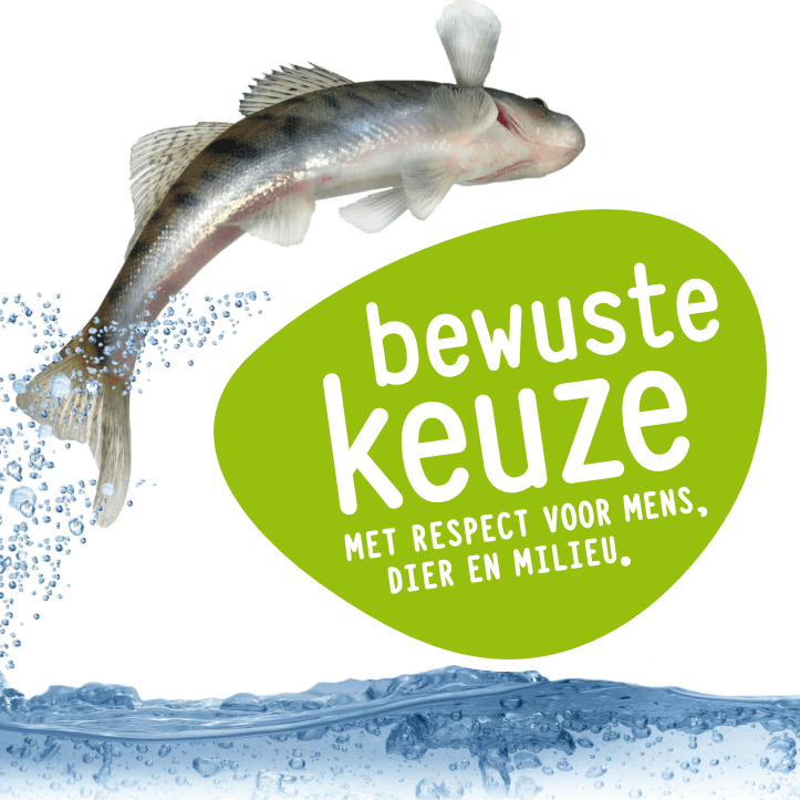 Duurzame vis