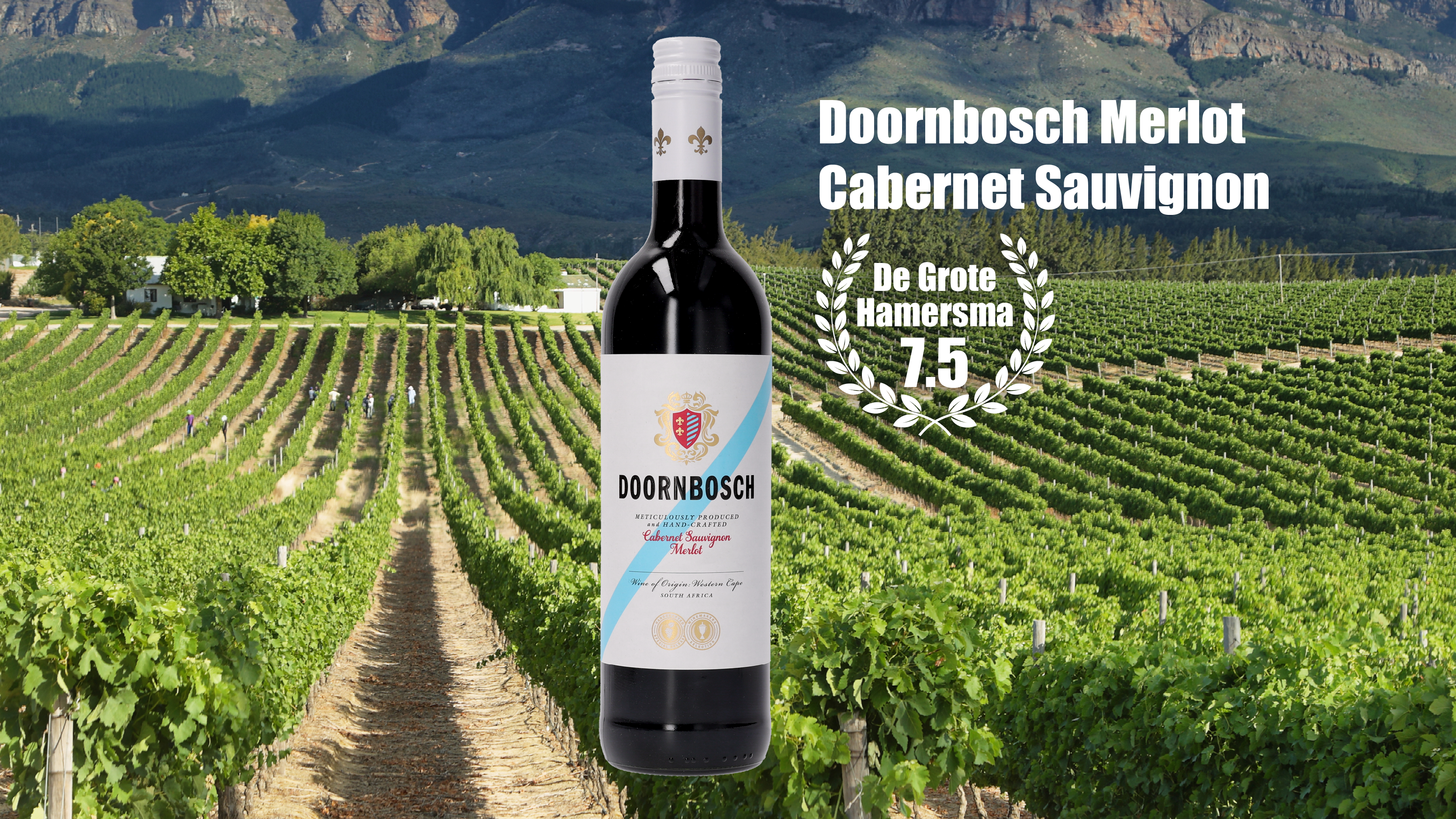 Merlot afbeelding