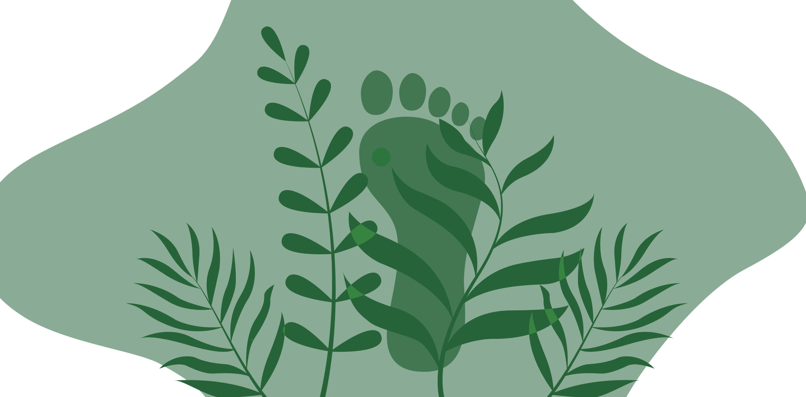 co2 footprint banner